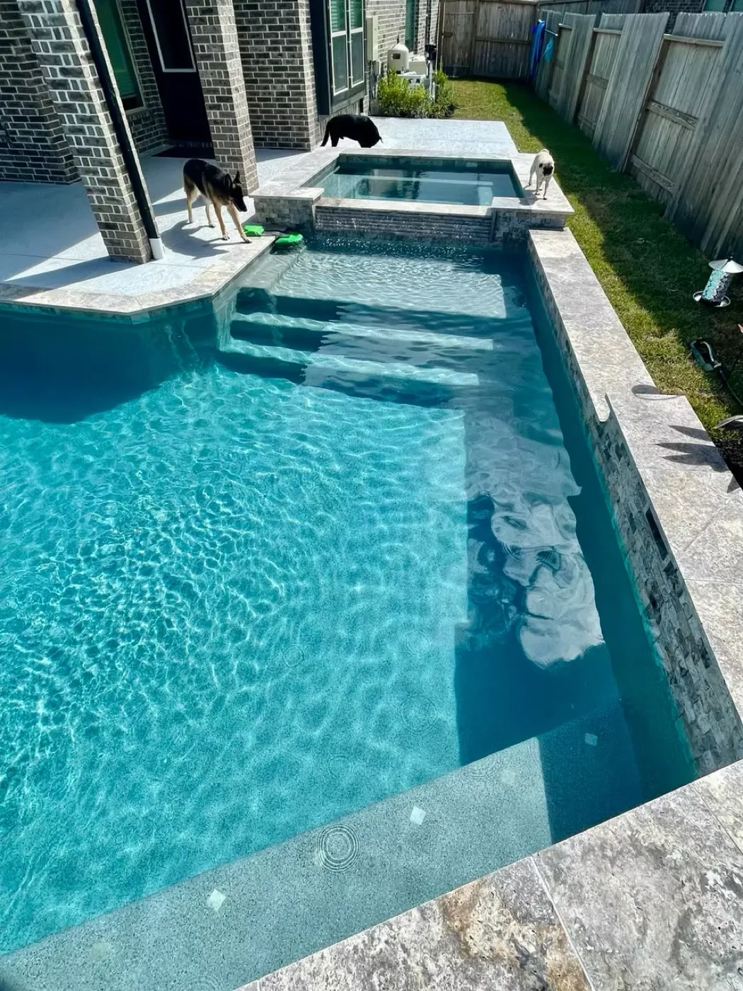 Modern rectangular pool with attached spa