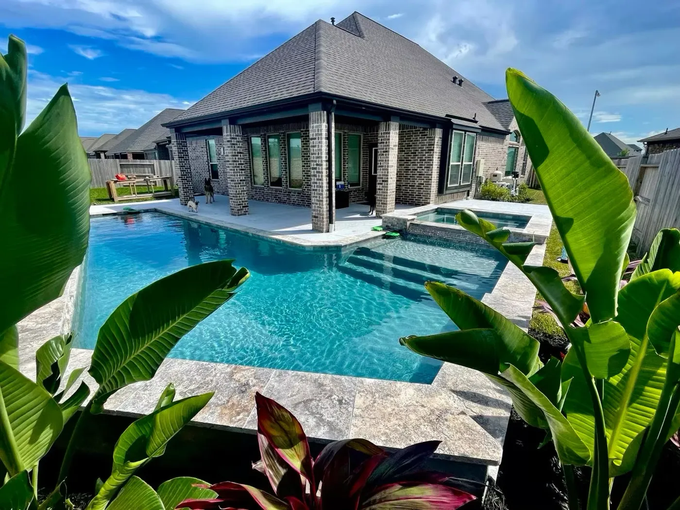 Pool surrounded by tropical landscaping